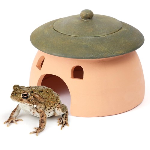 Terracotta reptile cave with - terracotta,
